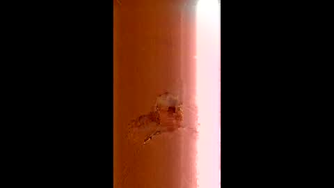 Snapshot of bigsweden23 chatting on 3, 4, 2026 bigsweden23 online show from 3, 4, 2026