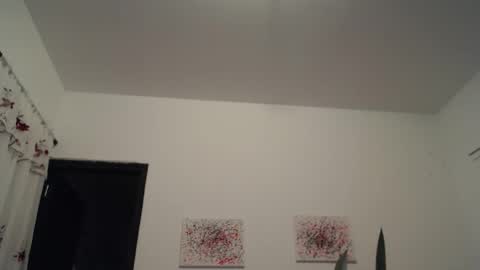 bigtsandhardcock online show from 13, 2, 2026