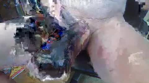 bigukphallus online show from 10, 7, 2026