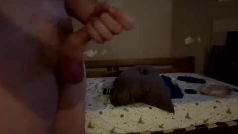 Snapshot of bigwheel999 chatting on 21, 12, 2024 bigwheel999 online show from 21, 12, 2024