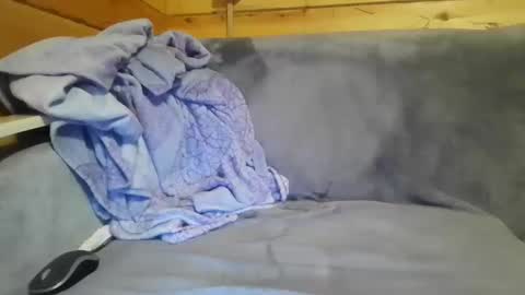 Snapshot of bik40 chatting on 27, 12, 2024 bik40 online show from 27, 12, 2024