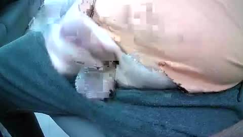 Snapshot of bikeman17 chatting on 4, 10, 2025 bikeman17 online show from 4, 10, 2025