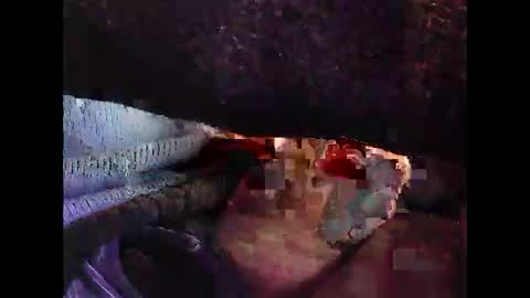 bilco03 online show from 29, 10, 2025