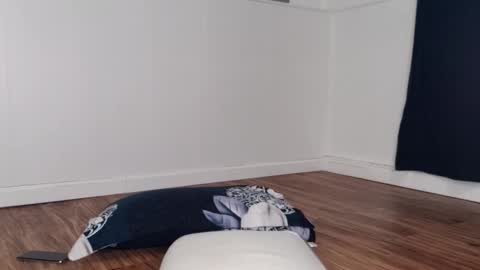 Bilie online show from 16, 3, 2026