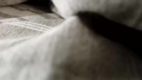 Snapshot of billy7801801010 chatting on 20, 2, 2026 billy7801801010 online show from 20, 2, 2026