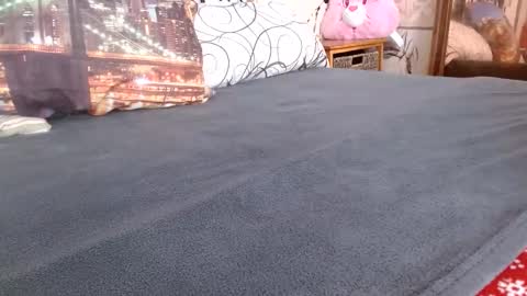 Bill online show from 17, 2, 2026