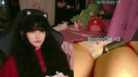 BimboCat online show from 12, 6, 2026