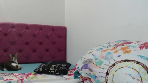 I am everything. Your highness queen  goddess mistress god daddy mommy boss master.  you will address me as such online show from 26, 1, 2025