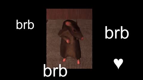  Black Kittie    Wednesday - 1300 - 1900 GMT help me get 100 thumbs up online show from 9, 9, 2025