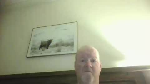 black_n_white4 online show from 24, 2, 2026
