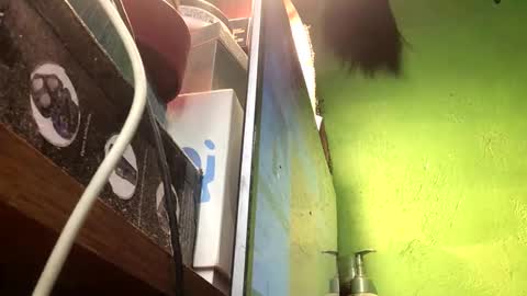 Crystal online show from 13, 11, 2025