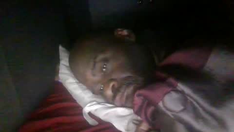 blackteddybear online show from 26, 5, 2026