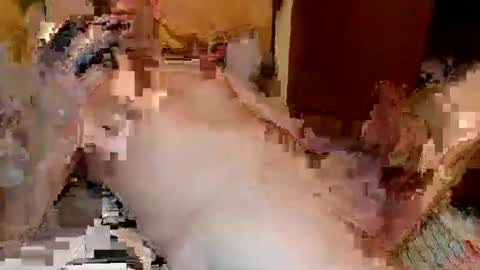 blagoy07 online show from 15, 12, 2025