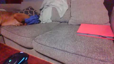 blaw_1321 online show from 1, 12, 2025