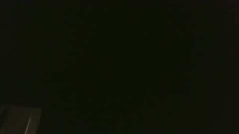 bluemoose70 online show from 21, 12, 2024