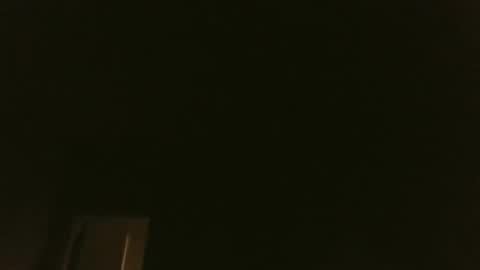 bluemoose70 online show from 4, 1, 2025