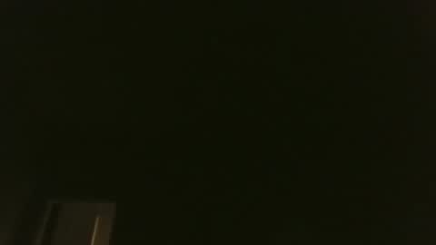 bluemoose70 online show from 7, 1, 2025