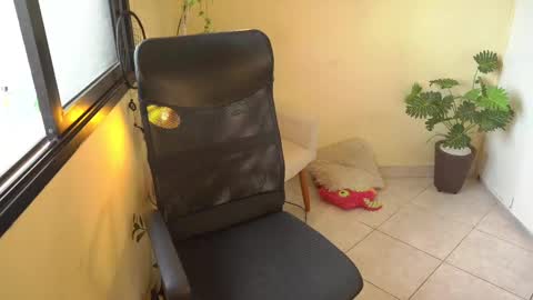 FLORAA online show from 11, 2, 2025