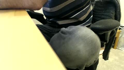 bobbuild online show from 30, 3, 2026