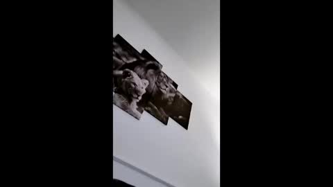 Snapshot of bobby160968 chatting on 8, 1, 2026 bobby160968 online show from 8, 1, 2026