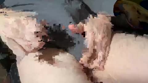 Snapshot of bobbyboobycummy chatting on 3, 3, 2025 Heath online show from 3, 3, 2025