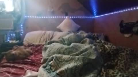 bobdeezzzzz online show from 19, 3, 2026