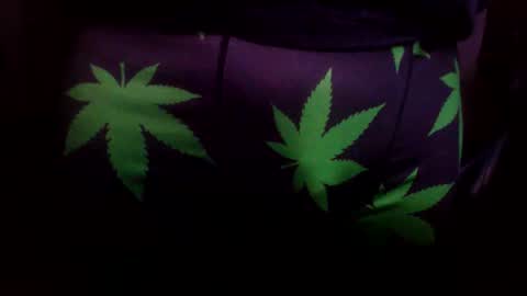 BobHungLow online show from 15, 2, 2026