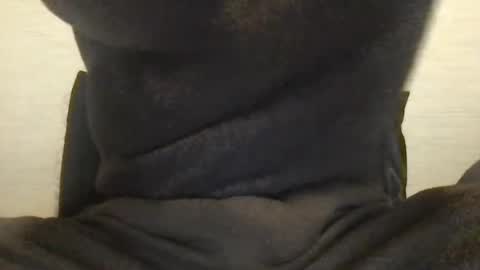 Snapshot of boblight221 chatting on 9, 1, 2025 boblight221 online show from 9, 1, 2025
