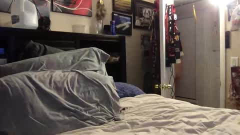 Bobby520 online show from 8, 1, 2025