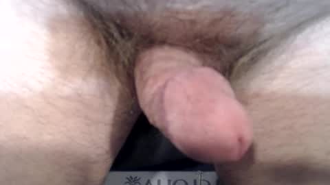 Snapshot of bobswan chatting on 22, 12, 2024 bobswan online show from 22, 12, 2024