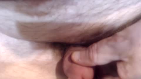 Snapshot of bobswan chatting on 26, 12, 2024 bobswan online show from 26, 12, 2024