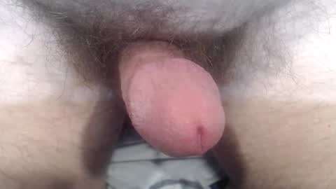 Snapshot of bobswan chatting on 24, 10, 2025 bobswan online show from 24, 10, 2025