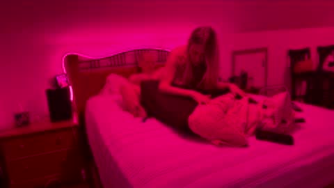 bodiddly64 online show from 15, 2, 2026