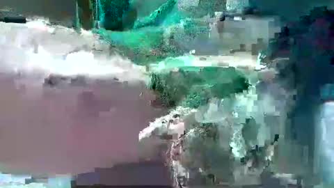 bogey58 online show from 12, 2, 2025