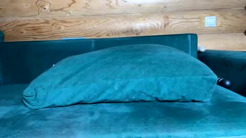 Nail and Olivia online show from 21, 10, 2025