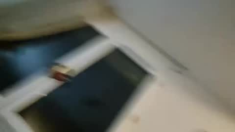 bomale89 online show from 22, 12, 2024