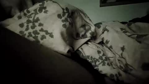 Snapshot of bomberto33 chatting on 19, 2, 2026 Bomberto online show from 19, 2, 2026