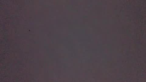 bonershow online show from 21, 11, 2025