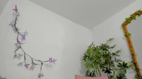   online show from 1, 2, 2026