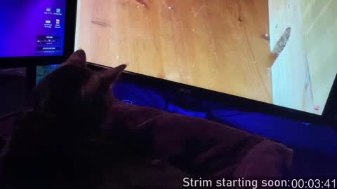 Booker Baxton online show from 20, 9, 2025