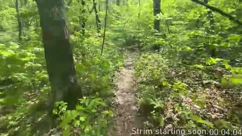 Booker Baxton online show from 29, 11, 2025