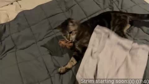 Booker Baxton online show from 10, 1, 2026