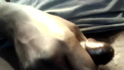 botofogo online show from 12, 10, 2025