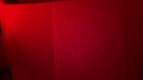 bowbowcow69 online show from 12, 12, 2024