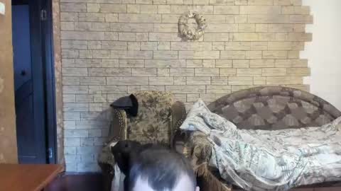 BoyApollon online show from 24, 12, 2024