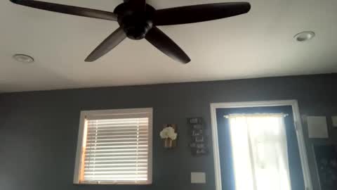 boytoy8969 online show from 14, 1, 2025