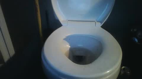 Snapshot of bradynoggle chatting on 18, 1, 2025 bradynoggle online show from 18, 1, 2025