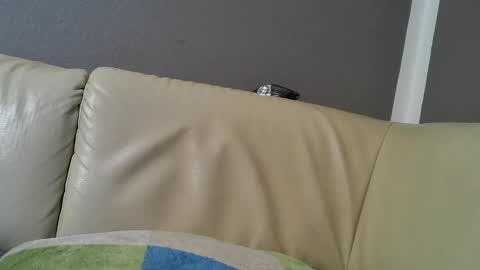 bramer8787 online show from 9, 2, 2025