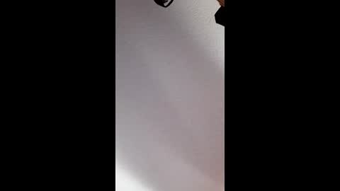 brandon281997 online show from 17, 4, 2026