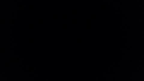 Brandy online show from 8, 2, 2026